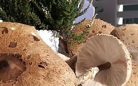 Przystań na Zagórzu - Apartamenty nad jeziorem